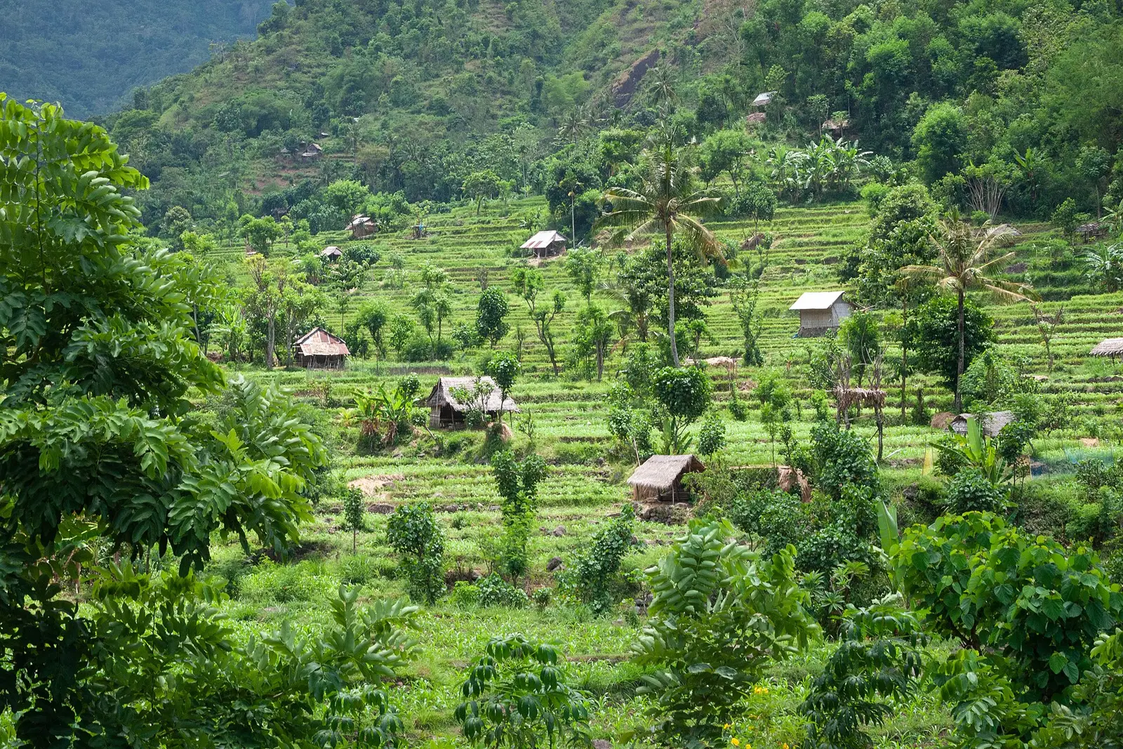 Indonesia