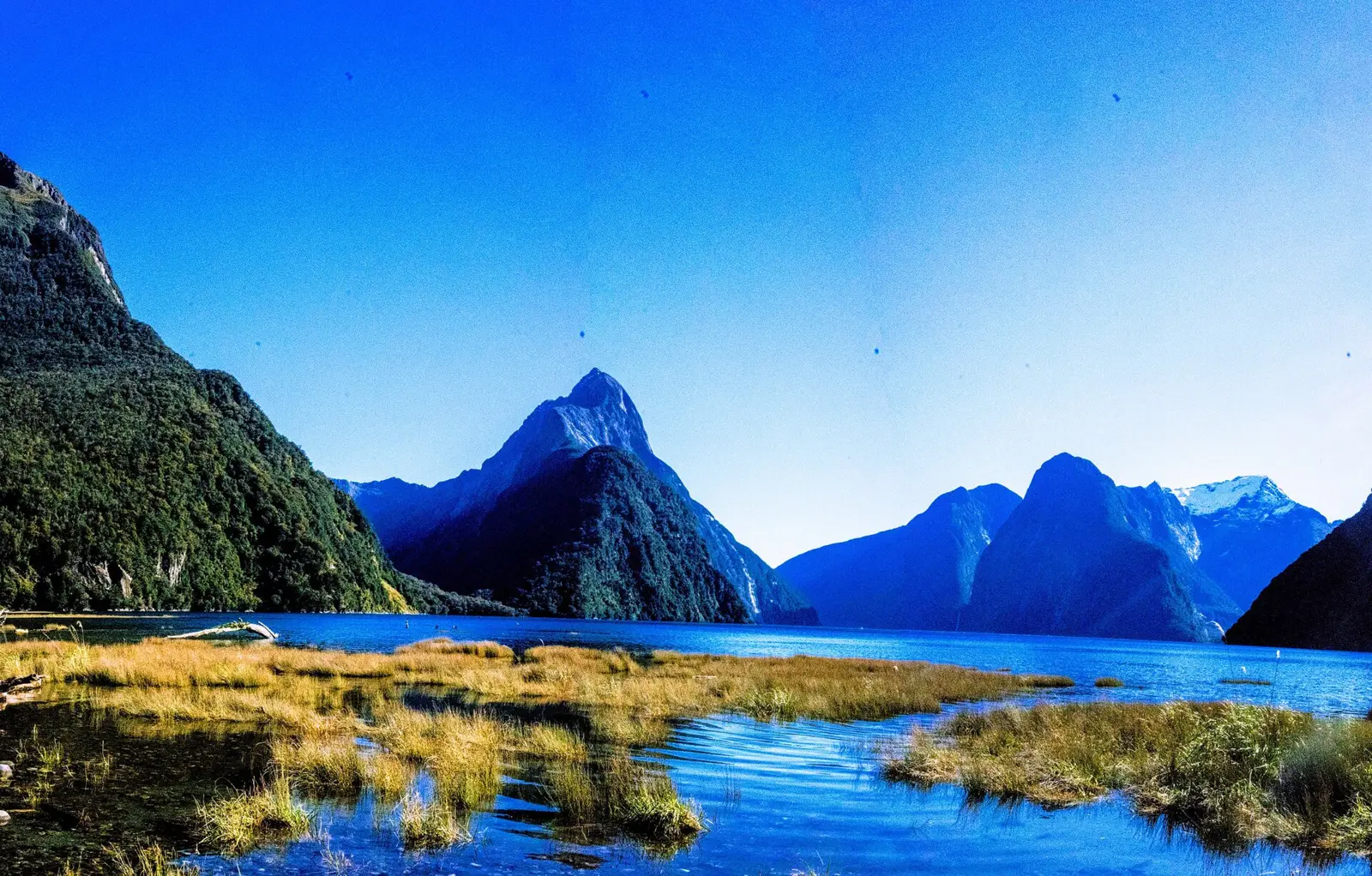 New Zealand