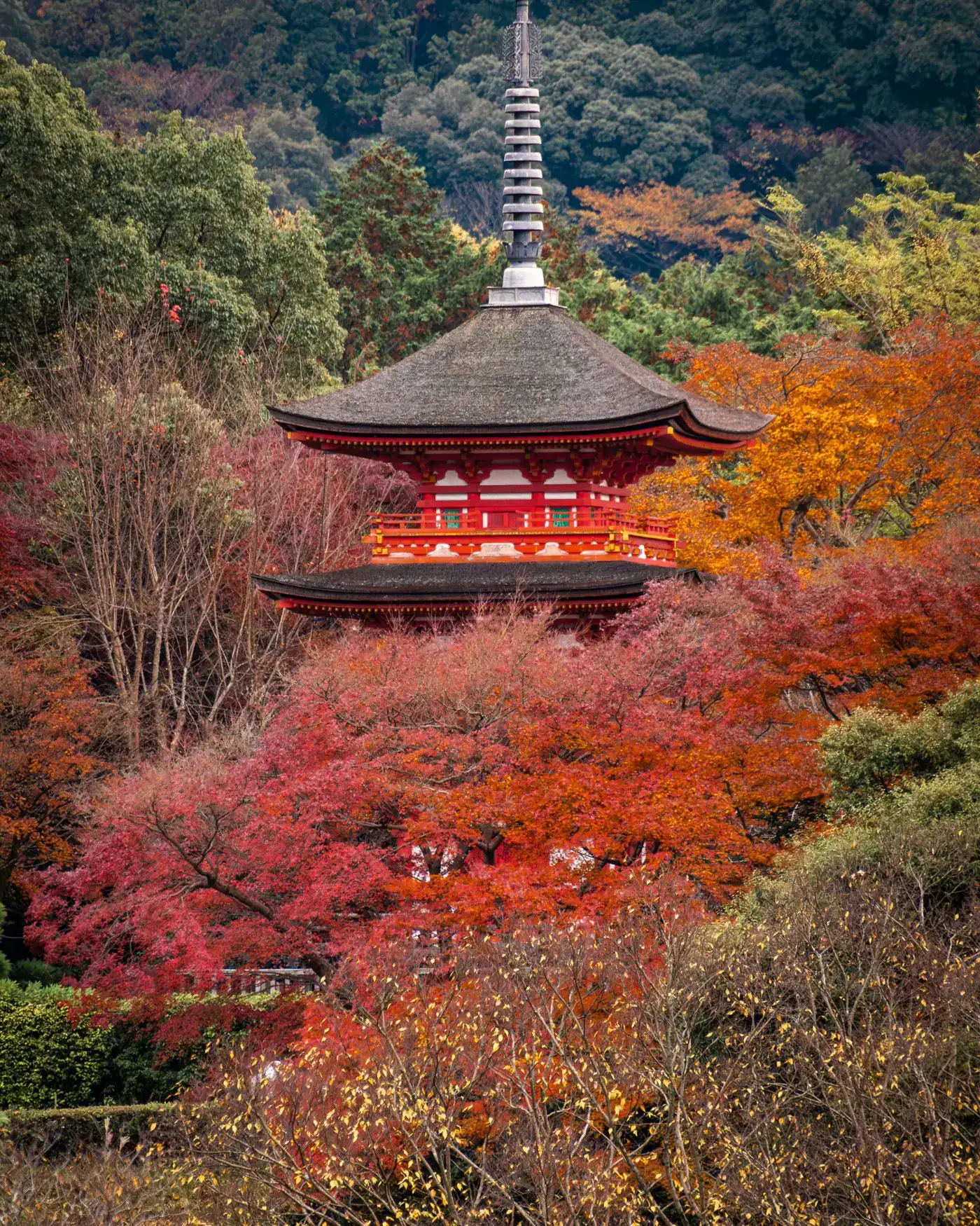 Japan