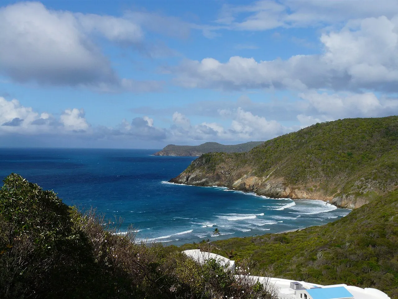 Guana Island