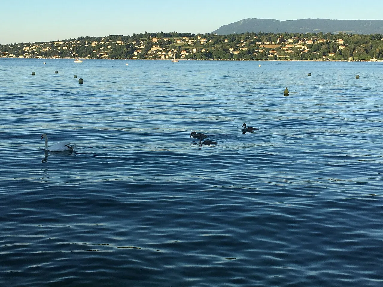 Hotel President Wilson, A Luxury Collection Hotel, Geneva