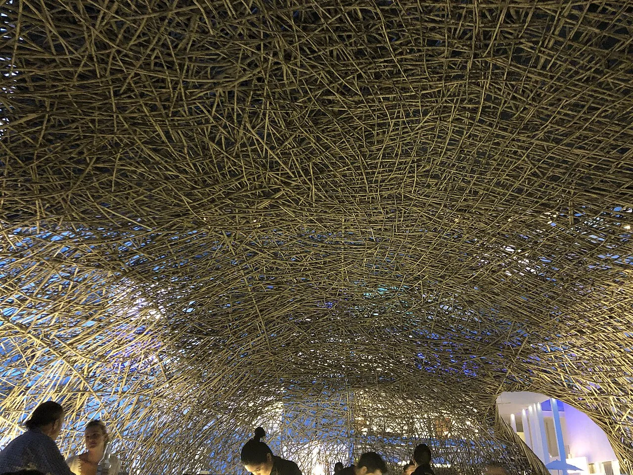 Viceroy Los Cabos