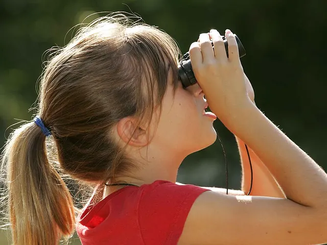 Compact 8x or 10x binoculars