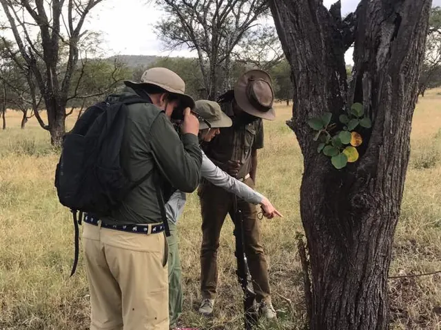 Khaki or olive safari shirt