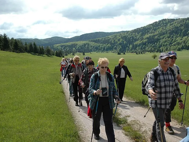 Collapsible trekking poles