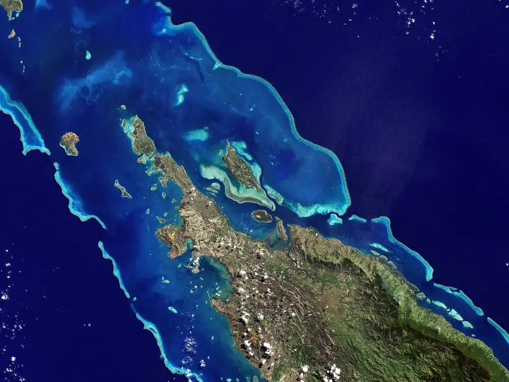 Lagoons of New Caledonia: Reef Diversity and Associated Ecosystems
