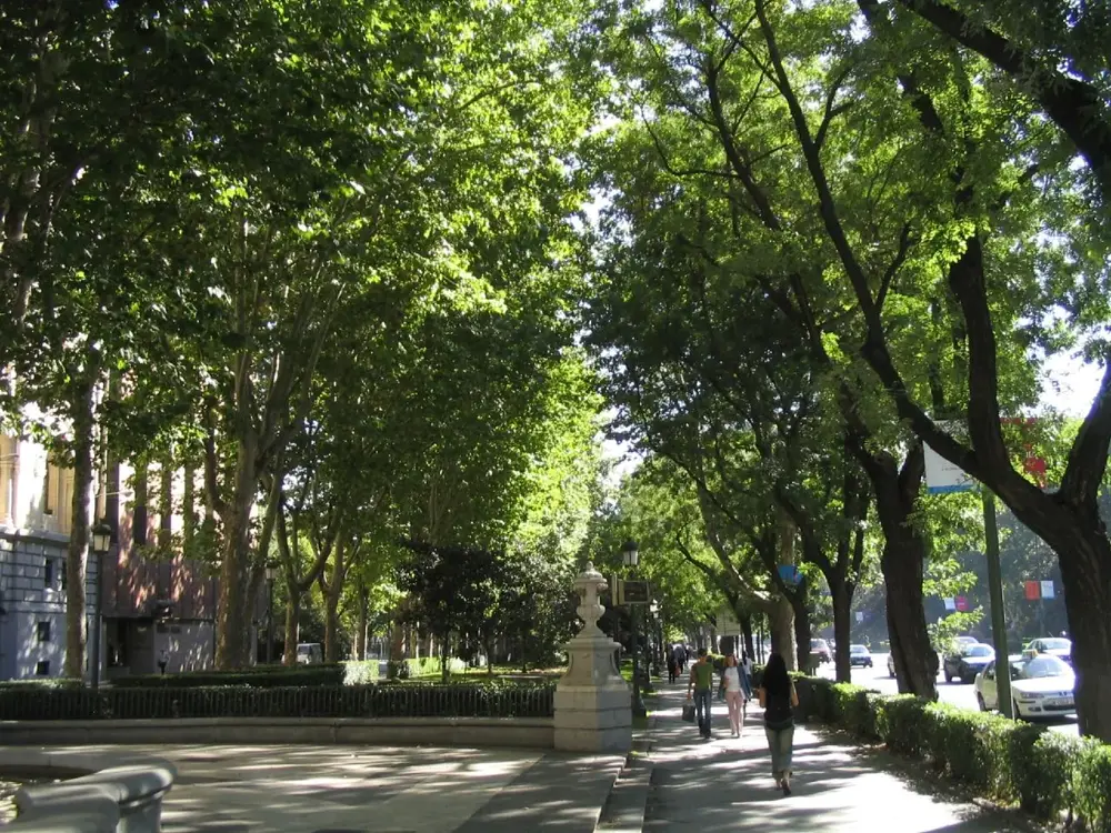 Paseo del Prado and Buen Retiro, a landscape of Arts and Sciences