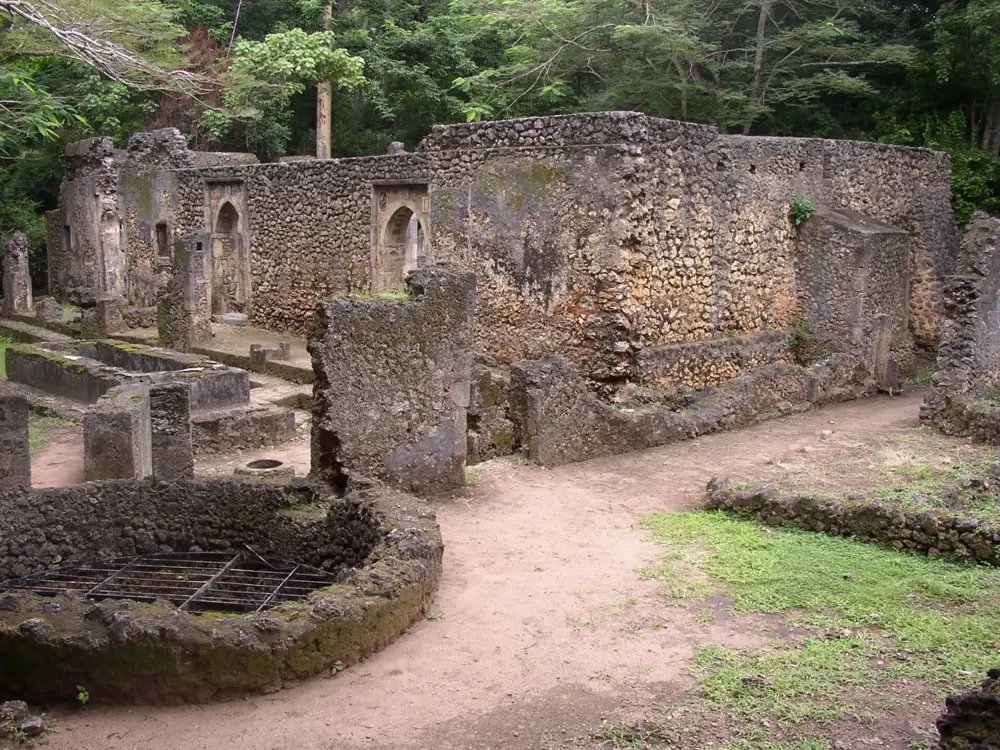The Historic Town and Archaeological Site of Gedi