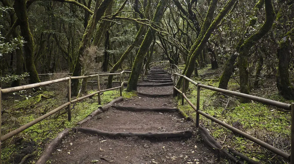 Garajonay National Park