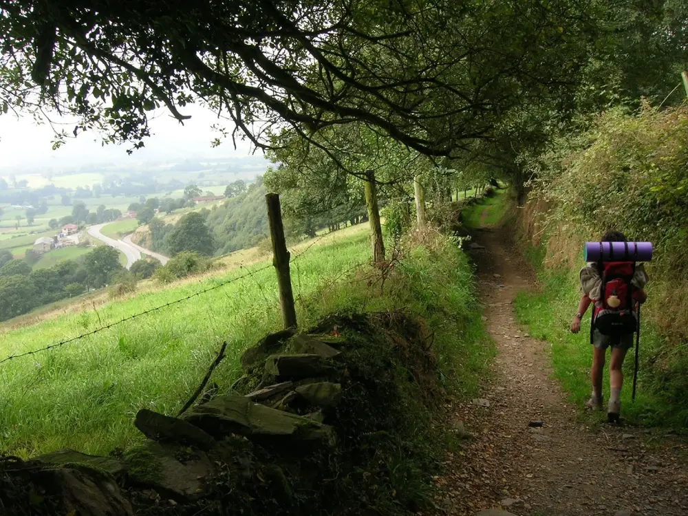 Routes of Santiago de Compostela: Camino Francés and Routes of Northern Spain