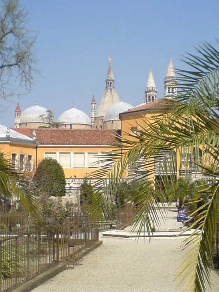 Botanical Garden (Orto Botanico), Padua