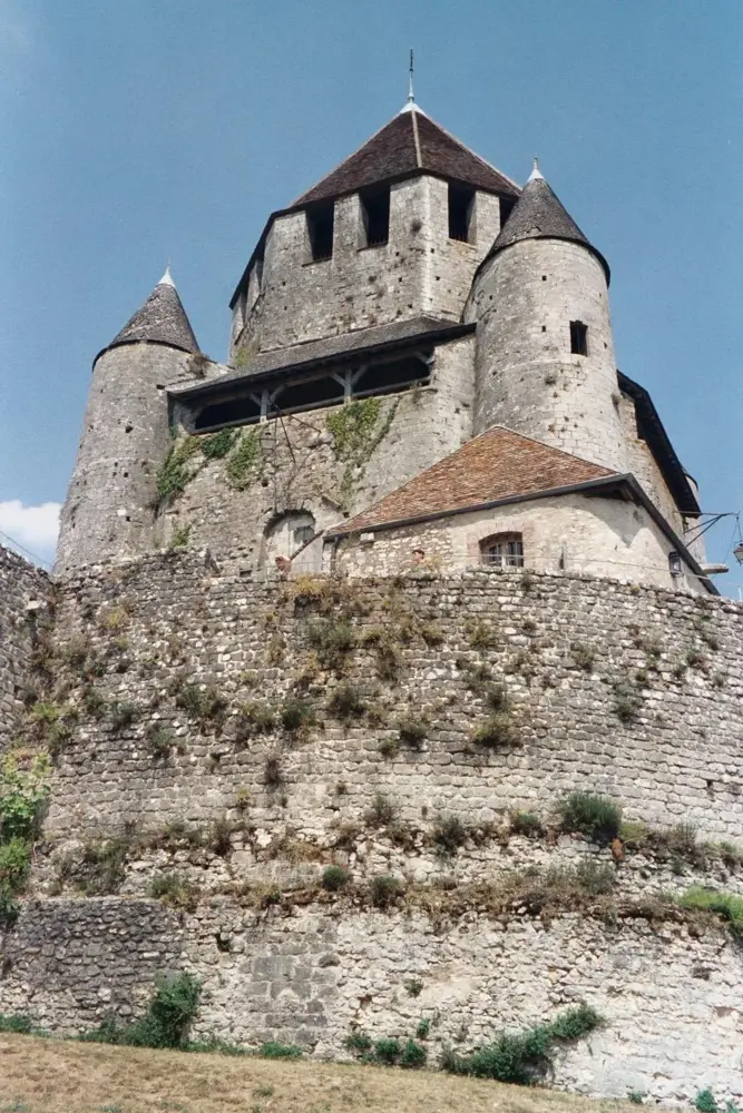 Provins, Town of Medieval Fairs